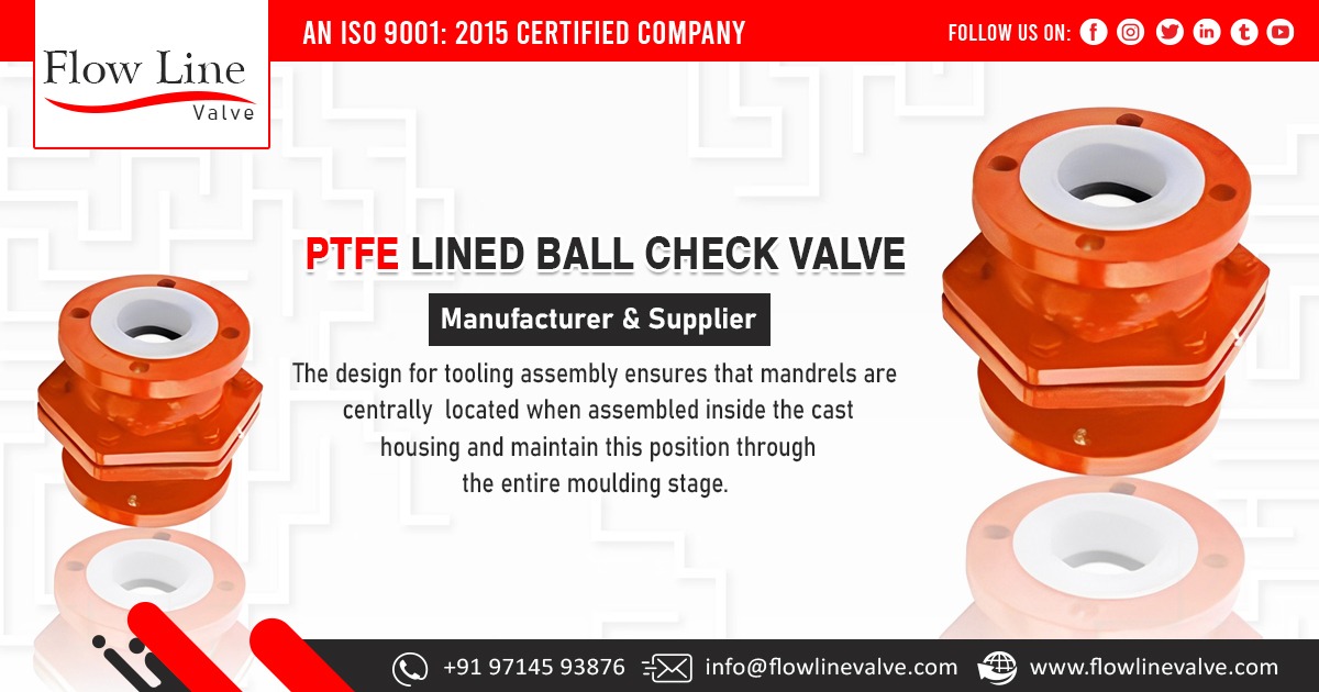 PTFE Lined Ball Check Valve Supplier in India