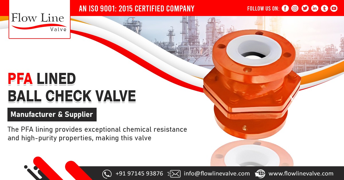 PFA Lined Ball Check Valve Supplier in India