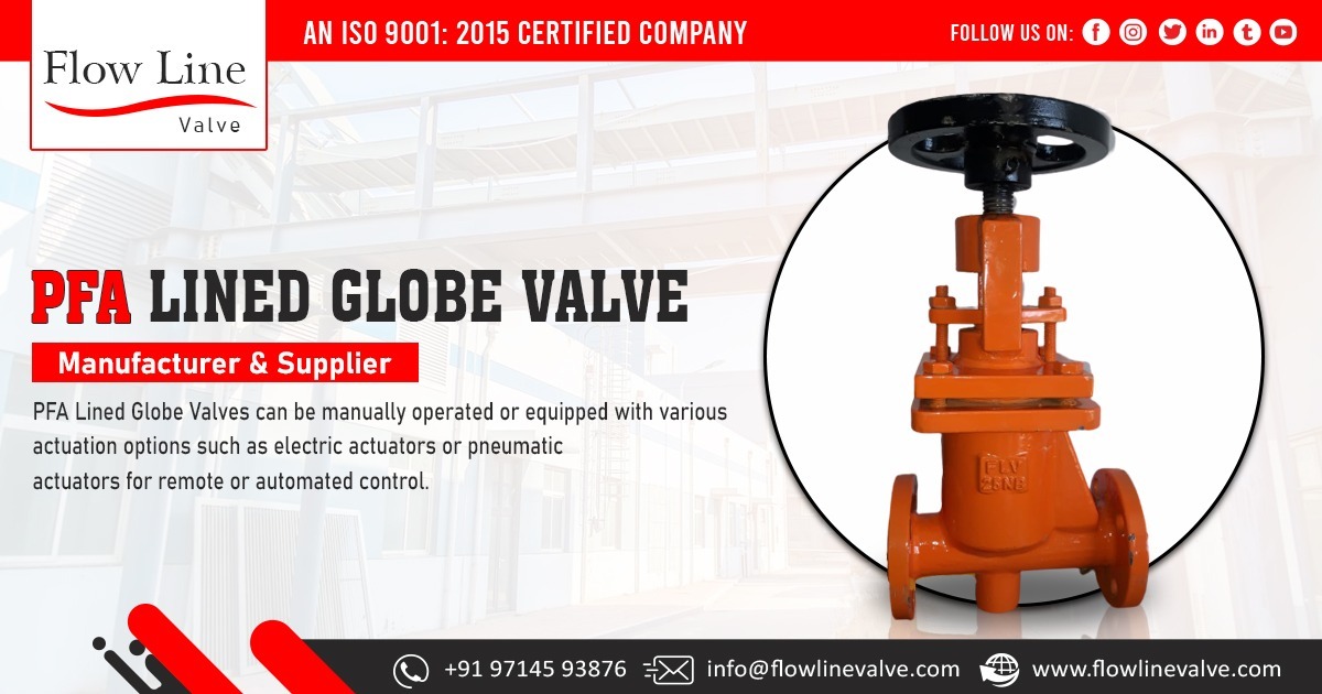 PFA Lined Globe Valve Supplier in Rajasthan