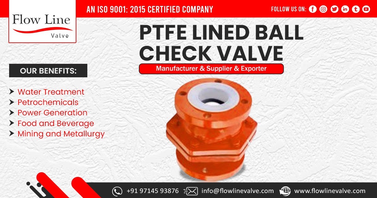 PTFE Lined Ball Check Valve Supplier in Kolkata
