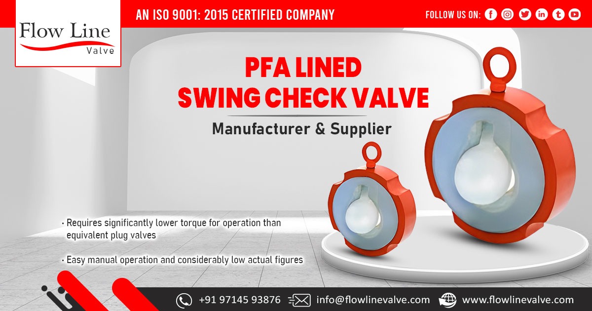 Supplier of PFA Lined Swing Check Valve in Chhattisgarh
