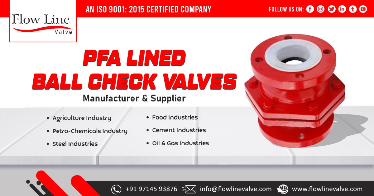 Supplier of PFA Lined Ball Check Valve in Gujarat