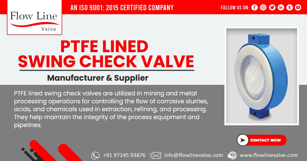 Supplier of PTFE Lined Swing Check Valve in Bihar