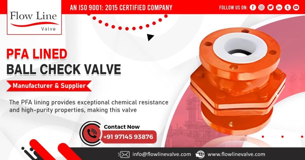 Supplier of PFA Lined Ball Check Valve in Andhra Pradesh