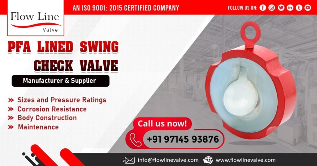 PFA Lined Swing Check valve in Gujarat