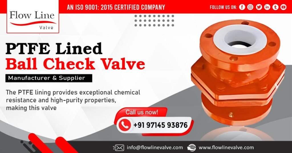 PTFE Lined Ball Check Valve in Madhya Pradesh