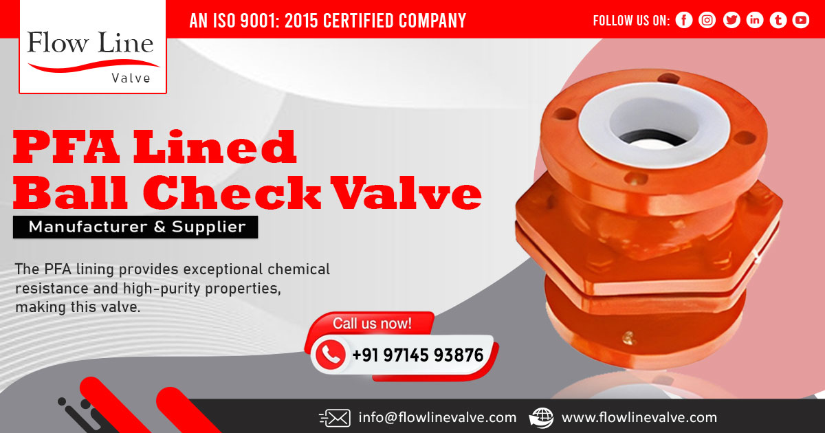 PFA Lined Ball Check Valve in Telangana