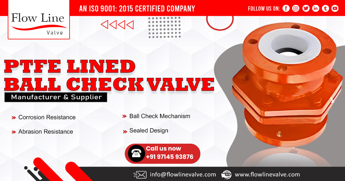 Supplier PTFE Lined Ball Check Valve in Telangana