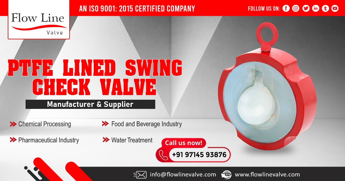 PTFE Lined Swing Check Valve in Haryana