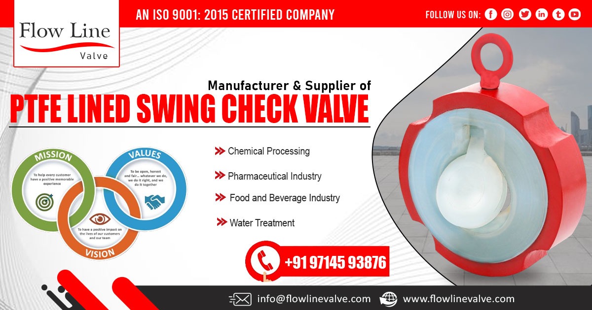 PTFE Lined Swing Check Valve in Assam