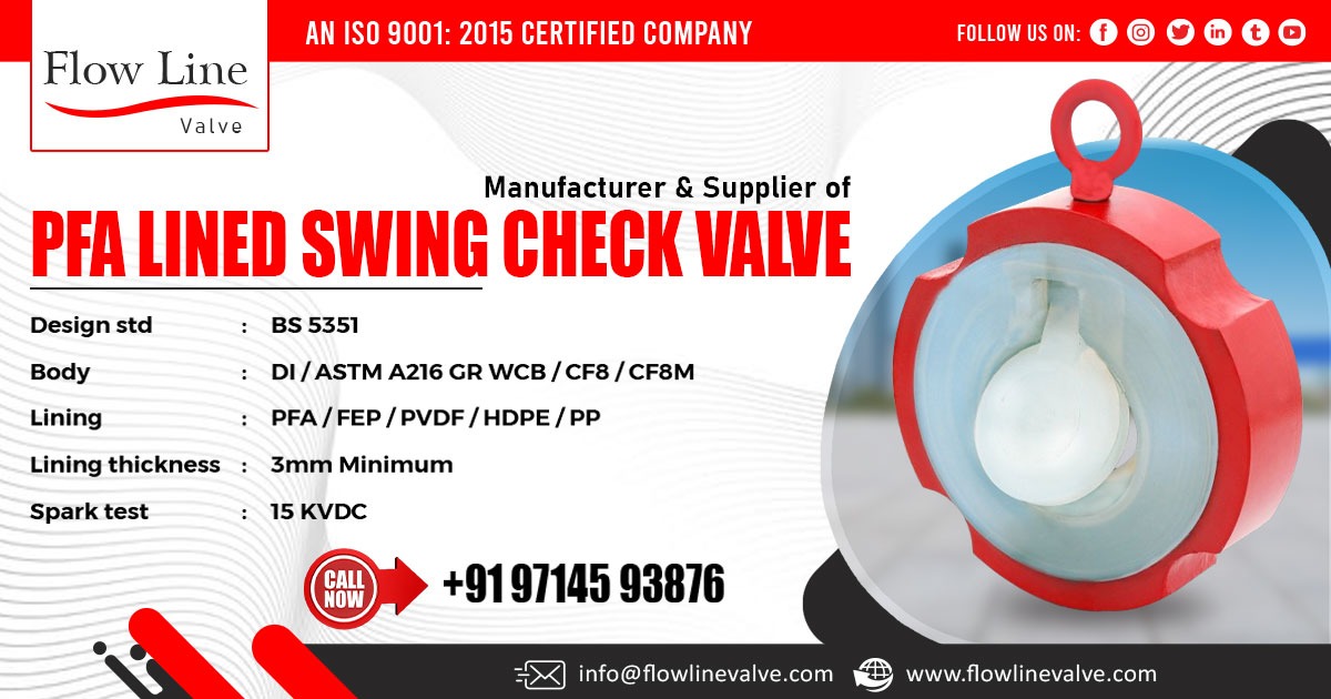 PFA Lined Swing Check Valve in Punjab