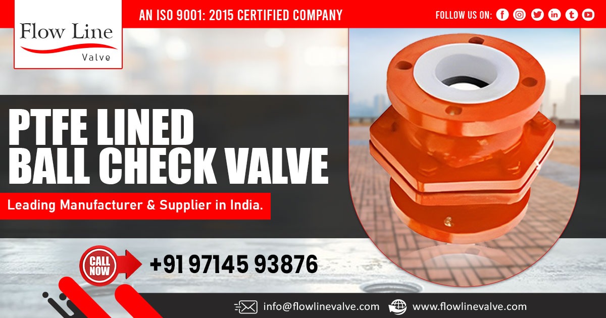 PTFE Lined Ball Check Valve Supplier in Assam