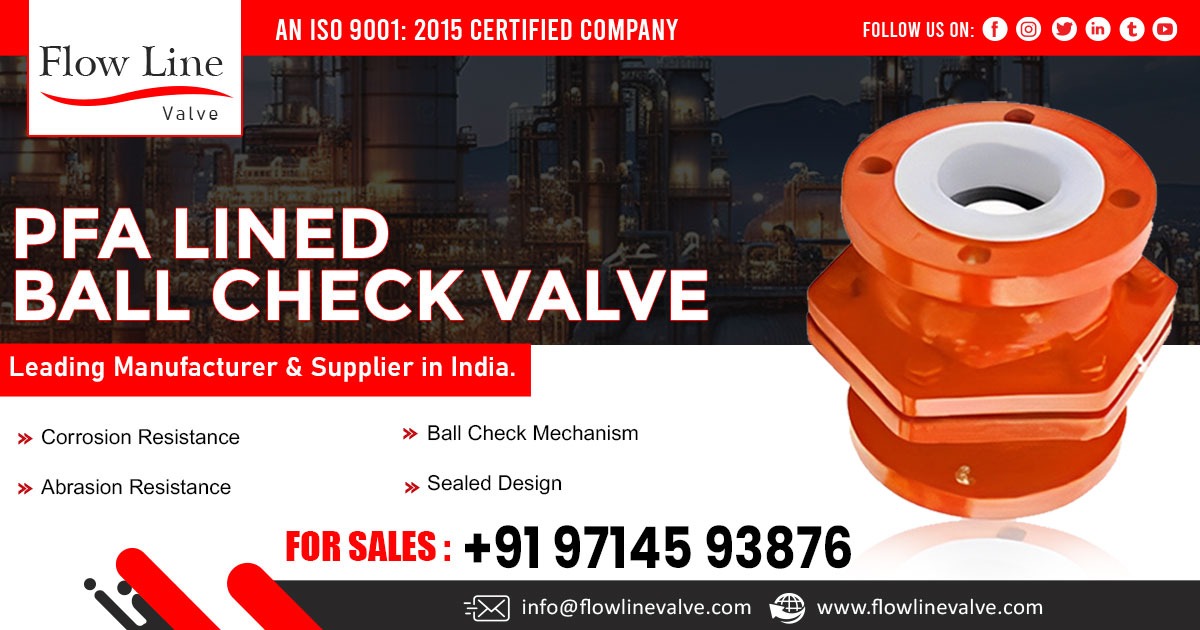 PFA Lined Ball Check Valve in Karnataka