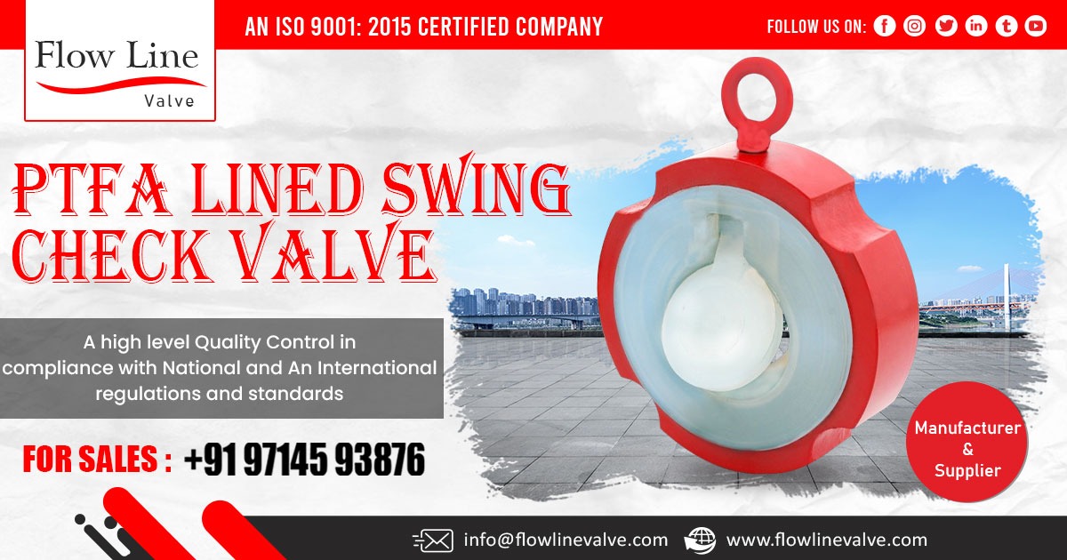 Supplier of PTFE Lined Swing Check Valve in Rajasthan