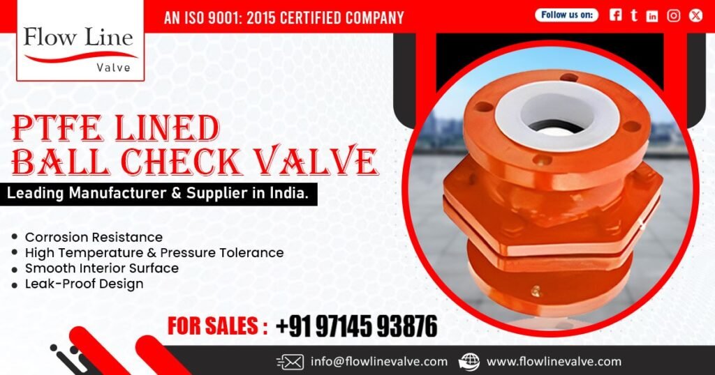 PTFE Lined Ball Check Supplier in Maharashtra