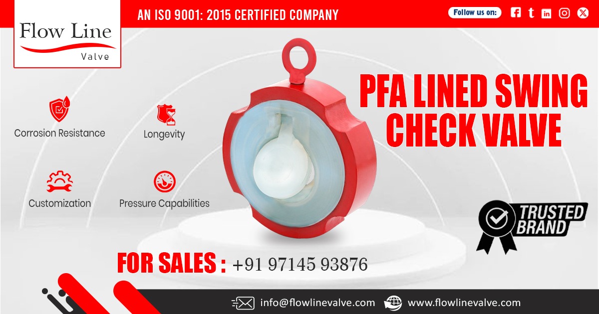 PFA Lined Swing Check Valve in Punjab