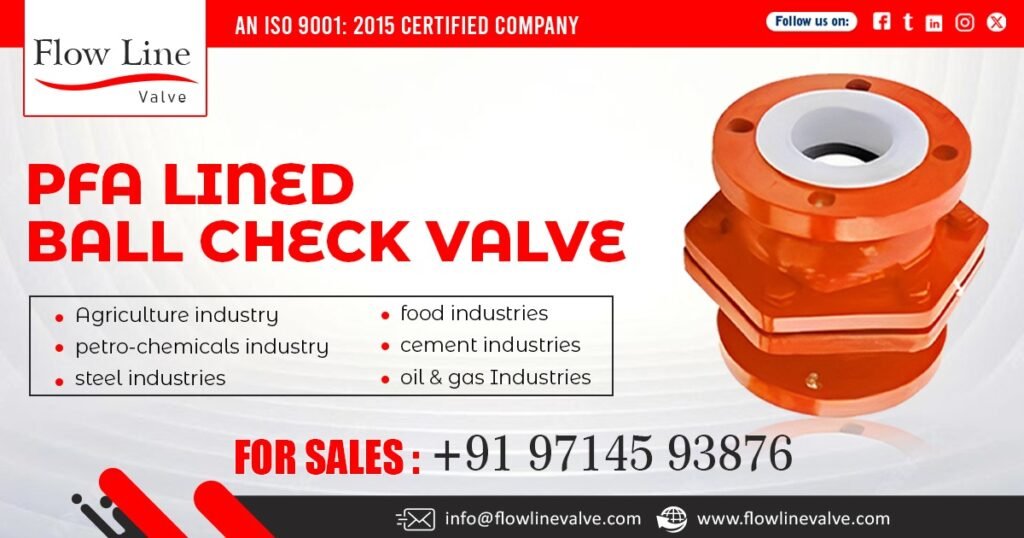 PFA Lined Ball Check Valve in Gujarat
