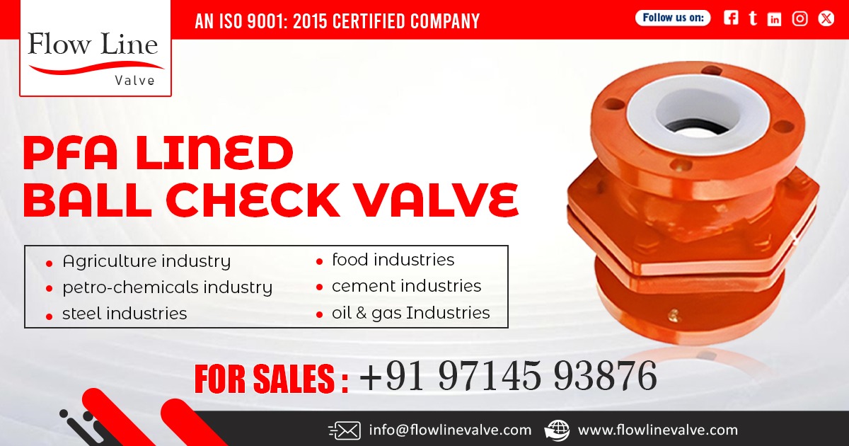 PFA Lined Ball Check Valve in Gujarat