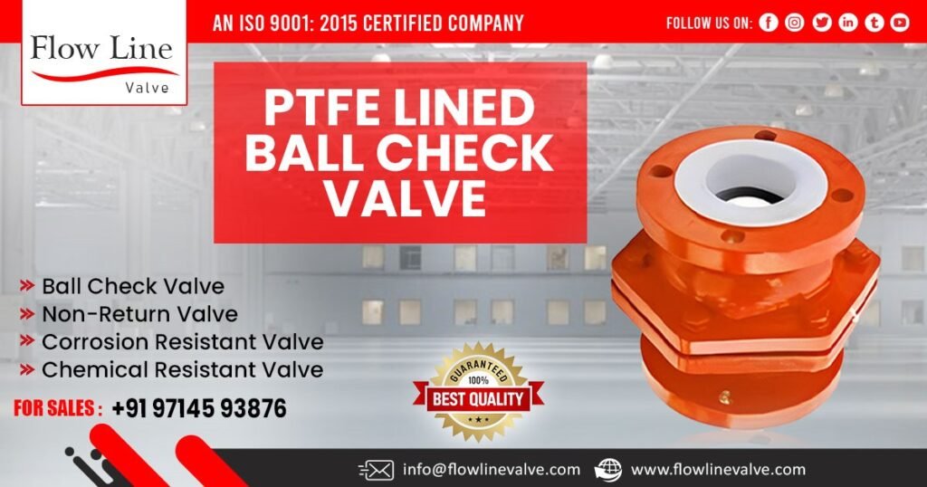 PTFE Lined Ball Check Valve in Rajasthan