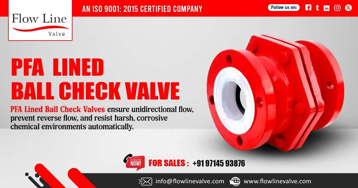 PFA Lined Ball Check Valve in Pune
