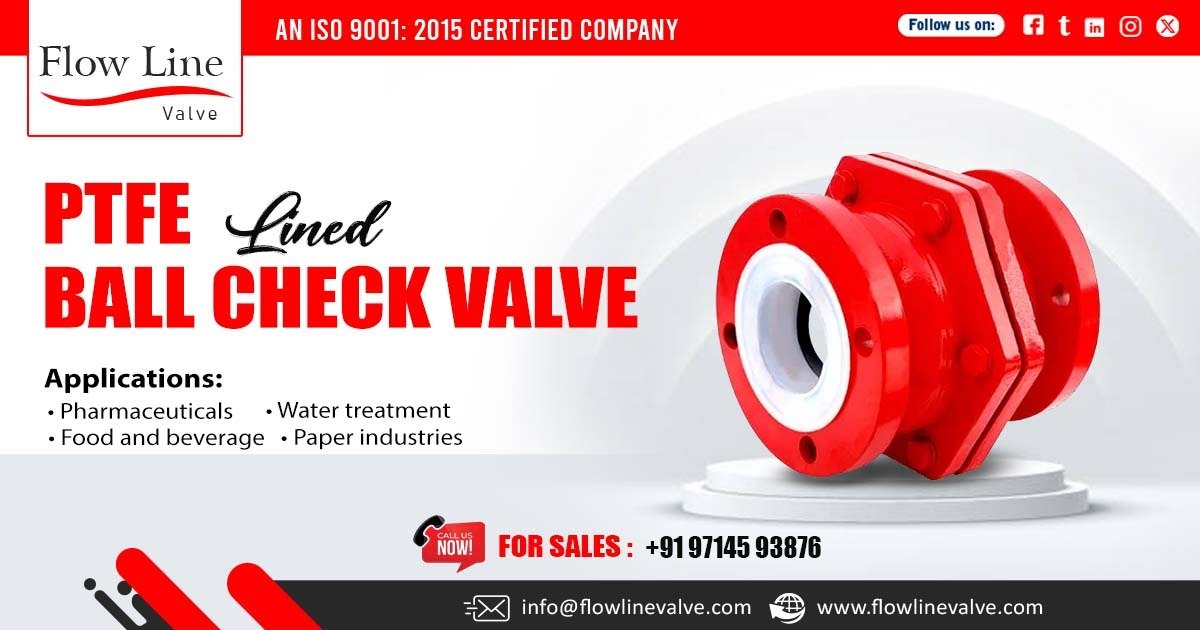 PTFE Lined Ball Check Valve in Bangalore