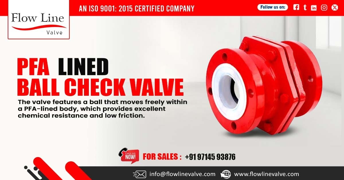 PFA Lined Ball Check Valve in Dahej