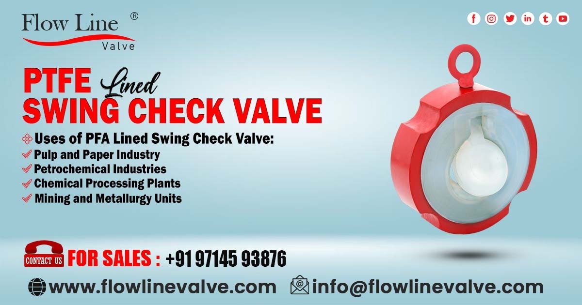 PTFE Lined Swing Check Valve in Vapi