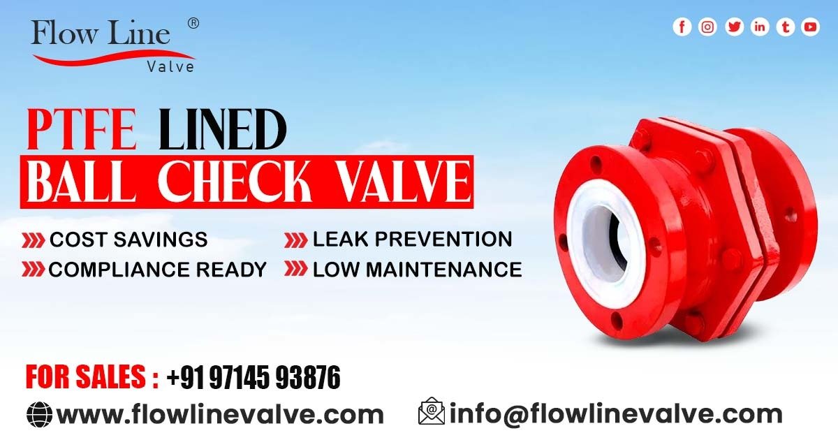 PTFE Lined Ball Check Valve in Dahej
