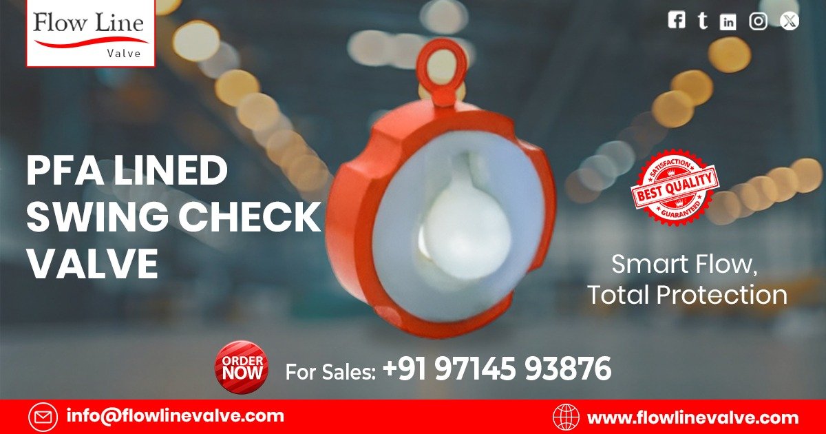 PFA Lined Swing Check Valve in Vapi