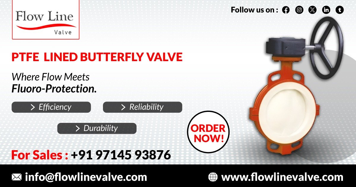 PTFE Lined Butterfly Valve in Baroda