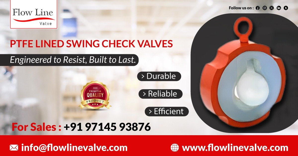 PTFE Lined Swing Check Valve in Delhi
