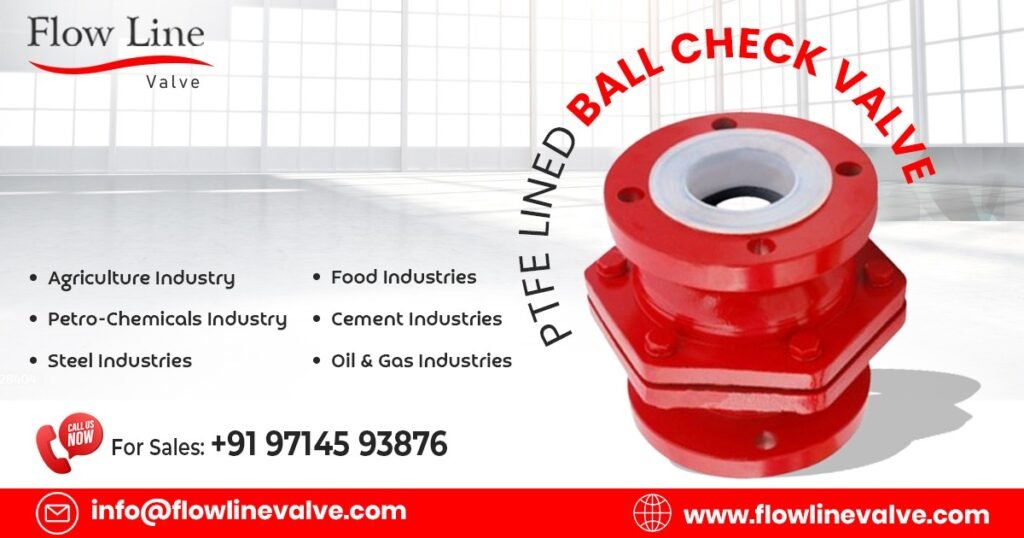 PTFE Lined Ball Check Valve in Jhagadia