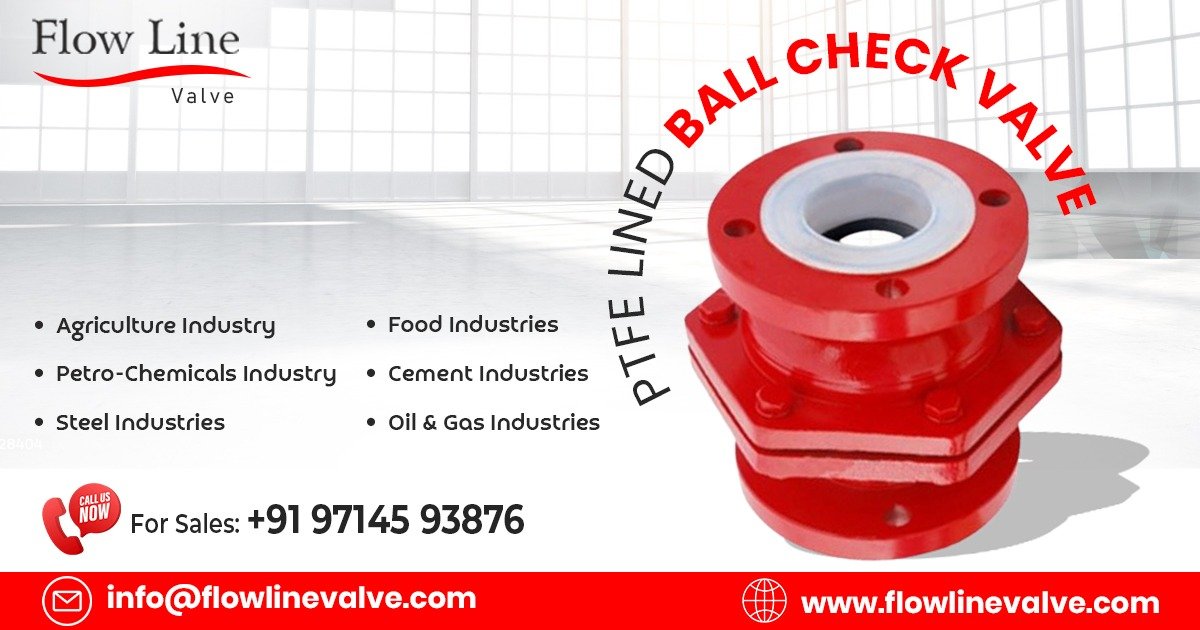 PTFE Lined Ball Check Valve in Jhagadia