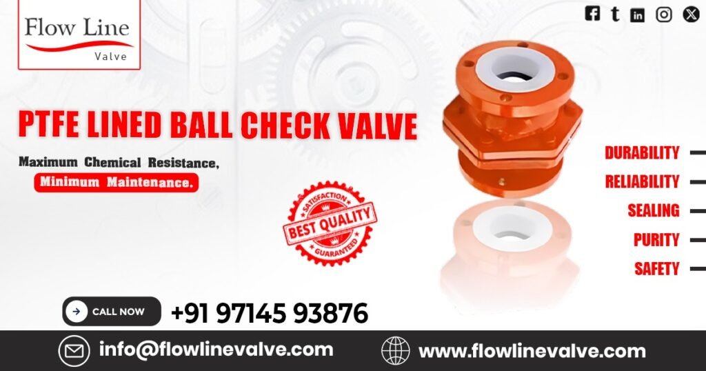 PTFE Lined Ball Check Valve in Baroda