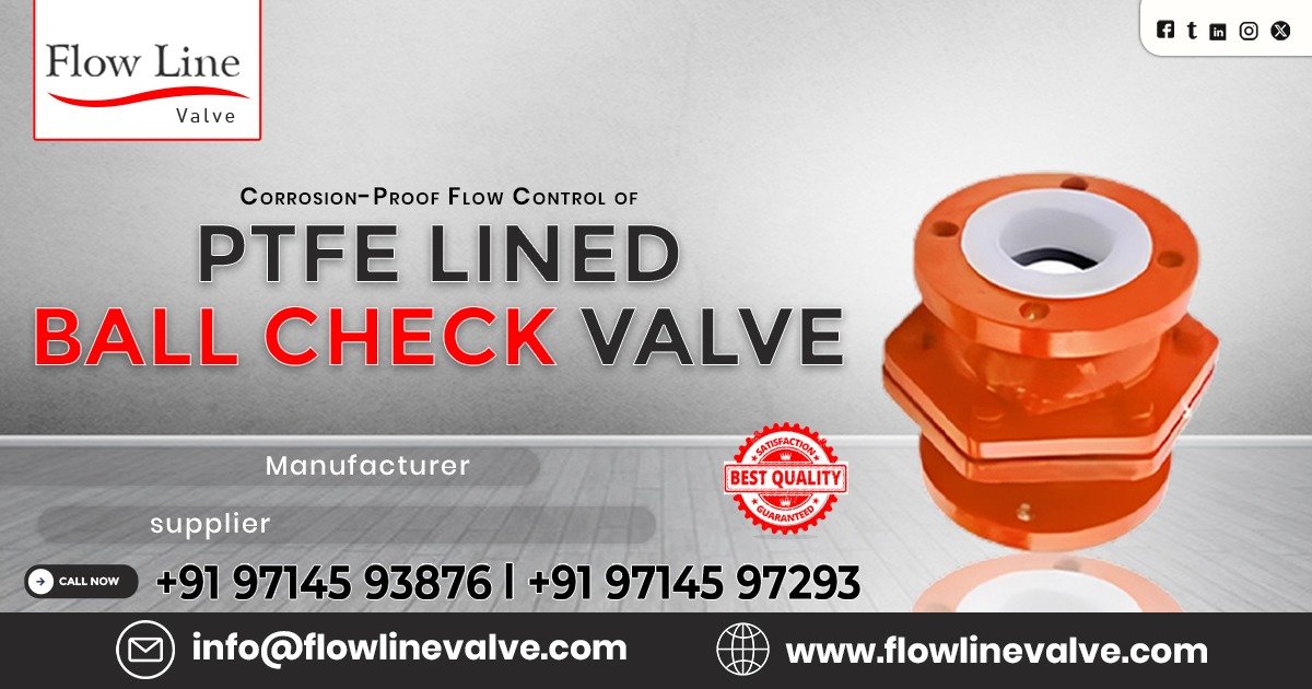 PTFE Lined Ball Check Valve in Vapi