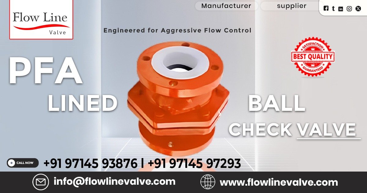 PFA Lined Ball Check Valve in Vapi
