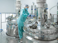 Pharmaceutical Industry