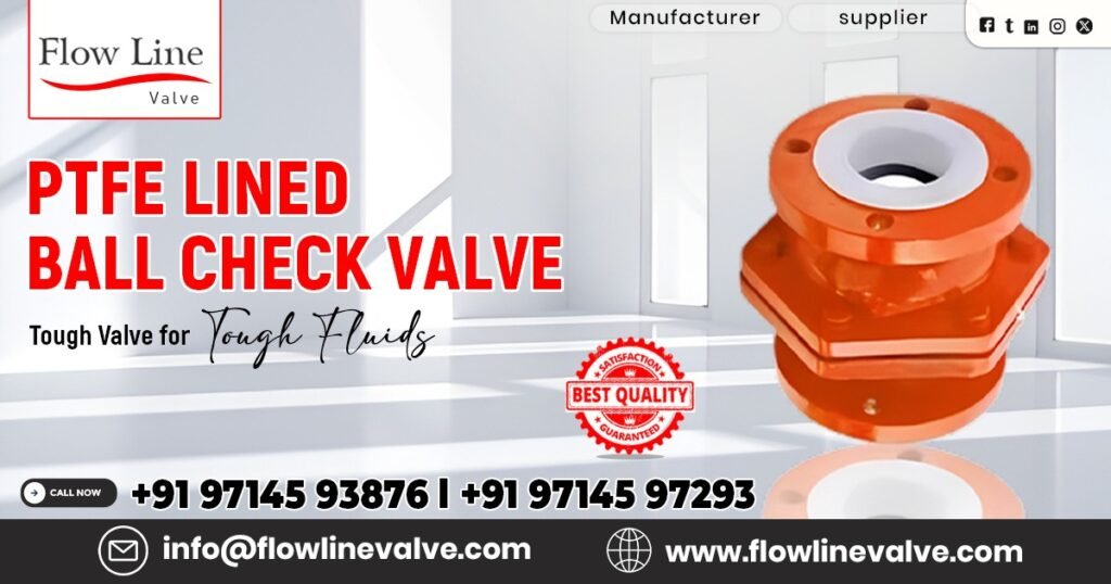 PTFE Lined Ball Check Valve in Kutch