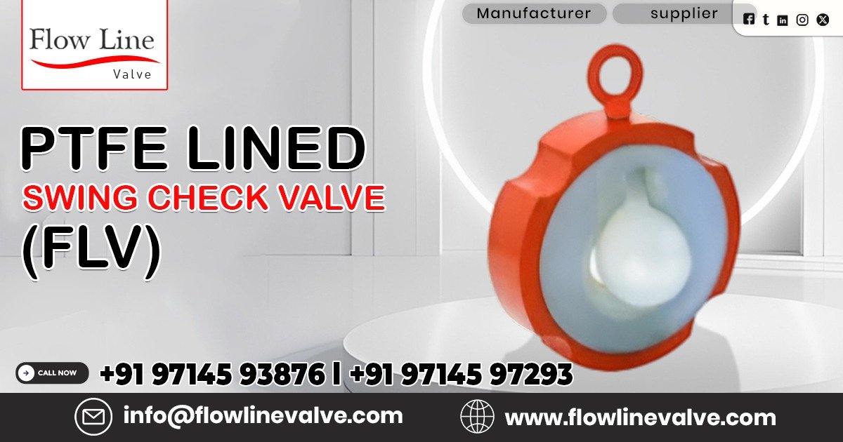 PTFE Lined Swing Check Valve in Jhagadia