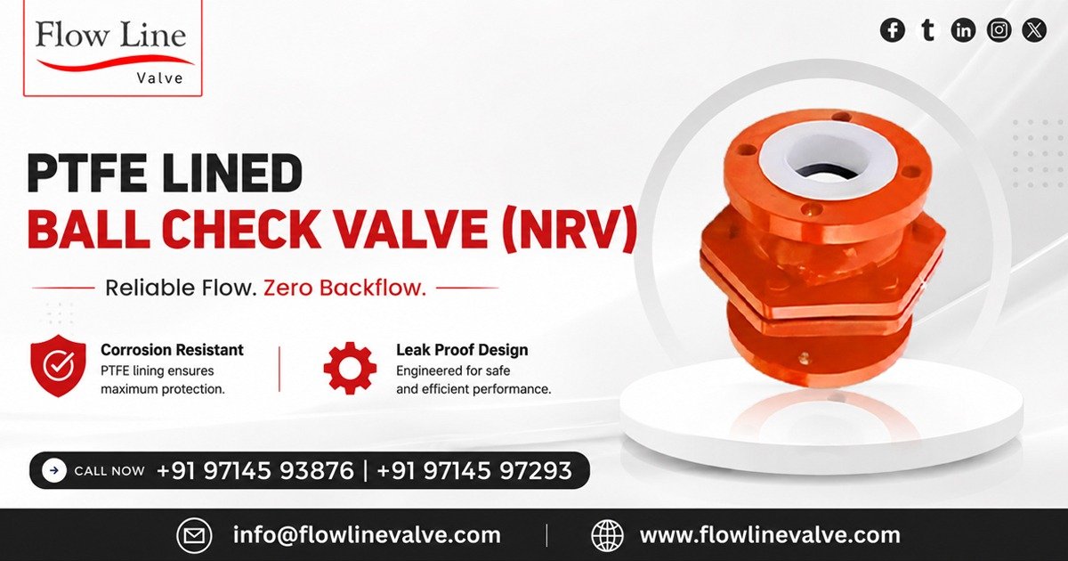 PTFE Lined Ball Check Valve in Ankleshwar